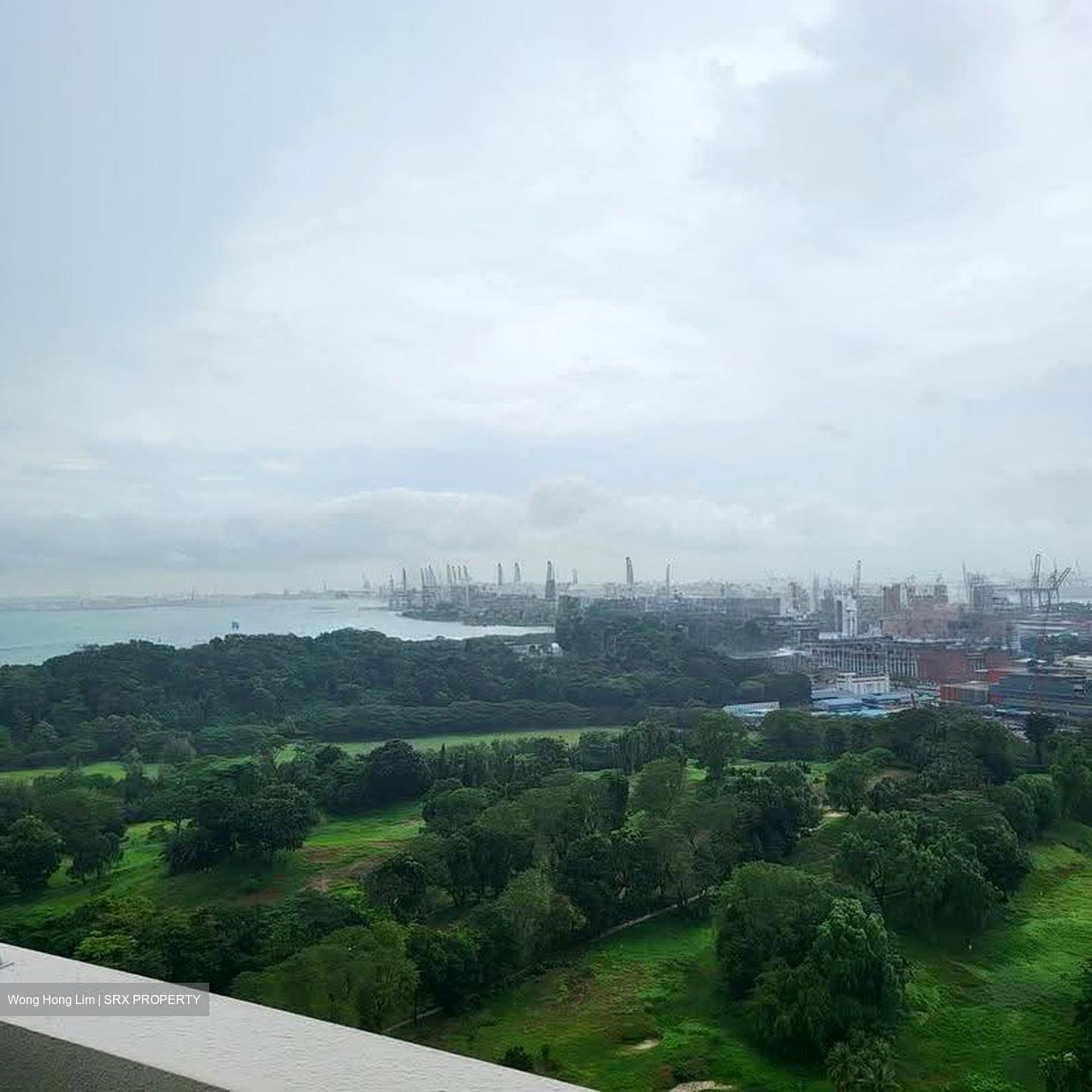 Skyline Residences (D4), Condominium #623107081